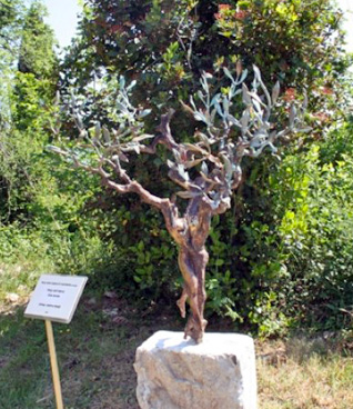 Ciclo eterno dell' artista Andrea Roggi nel Parco della Scultura di Castelbuono di Bevagna - Perugia - Umbria